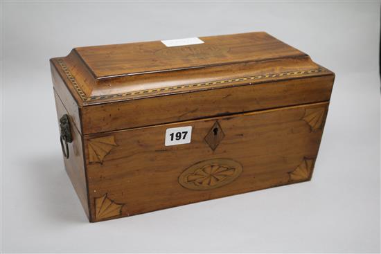 A Regency inlaid satinwood tea caddy